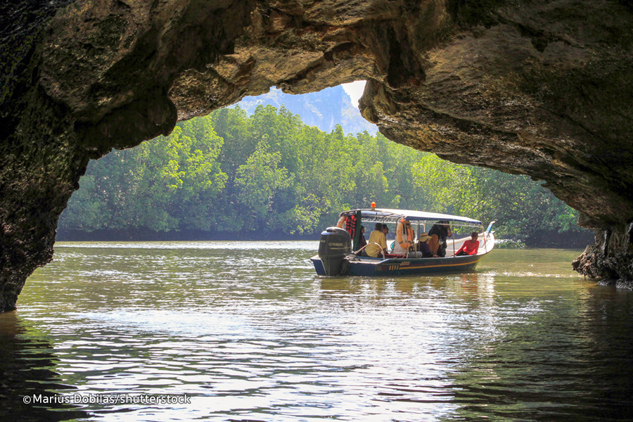mangrove tour langkawi private boat